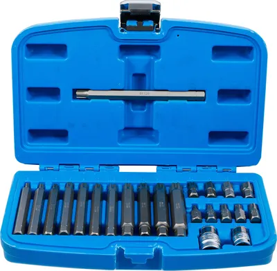 Produktbild von BGS 5013 Ribe-Bitsatz, 22-tlg.