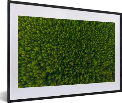 Produktbild von MuchoWow® MuchoWow® Gerahmtes Poster Wald - Baum - Grün 60x40 cm - Poster mit zchwarzem Bilderrahmen - Schlafzimmer - Plakat in Rahmen - Drucken