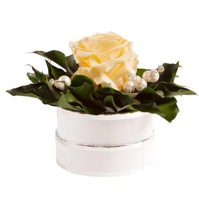 Immagine prodotto di Rosemarie Schulz Box con rosa stabilizzata Champagne / Beige Diamonds & Pearls