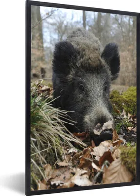 Produktbild von MuchoWow® Gerahmtes Poster Wildschwein - Wald - Tier 60x90 cm - Poster mit Schwarzem Bilderrahmen Wandposter Rahmen Foto Bilder - Kunst