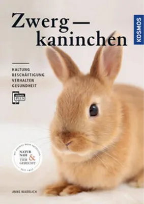 Produktbild von Zwergkaninchen