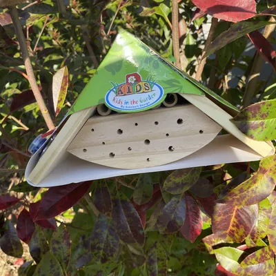 Image de Kit pour peindre son hôtel insectes