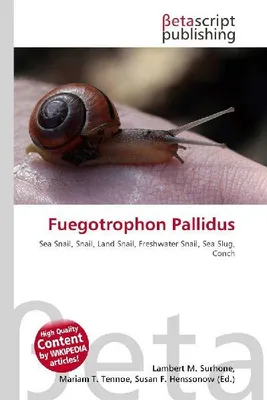 Produktbild von Fuegotrophon Pallidus