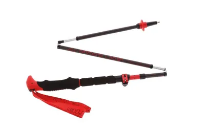 Immagine prodotto di Viking Spider FS Black/red sticks 130 cm