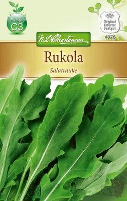 Produktbild von Rukola Salatrauke | Rucolasamen von N.L. Chrestensen