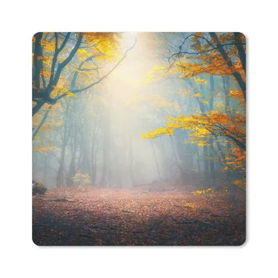 Produktbild von MuchoWow® Mauspad Mousepad Wald - Nebel - Herbst 30x30 cm - Mousepads - Maus Mat - Pad - Mausunterlage - Gaming