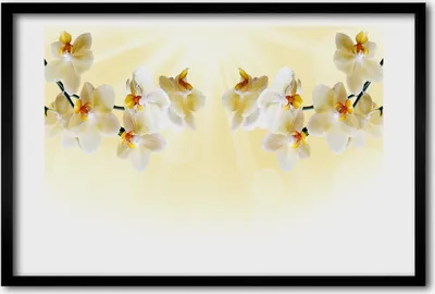 Produktbild von Bild 60x40 MDF-Rahmen, Wandkunst Orchidee