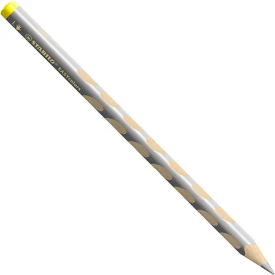 Image de STABILO 331/805-6 STABILO crayon de couleur triangulaire EASYcolors L, argenté