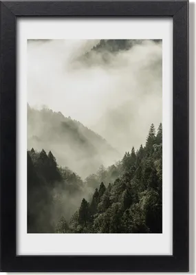 Produktbild von Bild 20x30 MDF-Rahmen, Wandkunst Nebel über dem Wald