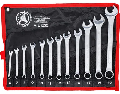 Produktbild von Ringschlüsselsatz Steckschlüsselsatz - 12-teilig - 6 bis 22 mm - Verchromt - Mit Tetron-Rolltasche