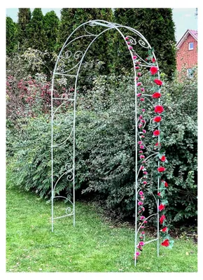 Produktbild von Rosenbogen aus verzinktem Metall, massiv, 120 cm, Wetterfest, Rundbogen, Rankhilfe, Gartenbogen