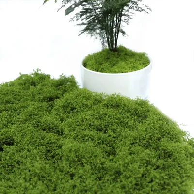 Kunstmoos 110 g – Islandmoos für Terrarium, Deko & Basteln