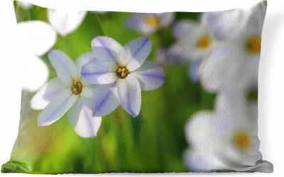 Produktbild von MuchoWow® Outdoor Kissen - Blumen - Garten - Lila - 60x40 cm - Wetterfest - Lounge Kissen - Zierkissen - Kissen für Innenräume