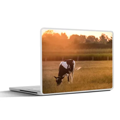 Produktbild von MuchoWow® Laptop Aufkleber Sticker Cover Kuh - Sonne - Tiere 30x22 cm - Laptop-Sticker