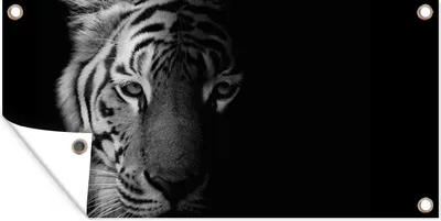 Produktbild von MuchoWow® 80x40 cm Outdoor-Poster Gartendeko Sichtschutz Garten Poster für den Garten  Tiger - Tiere - Wild - Schwarz - Weiß