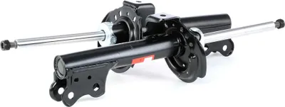 Obrázek produktu pro 2x TRW JGM1010T Sada dvojitých tlumičů přední plynové vzpěry