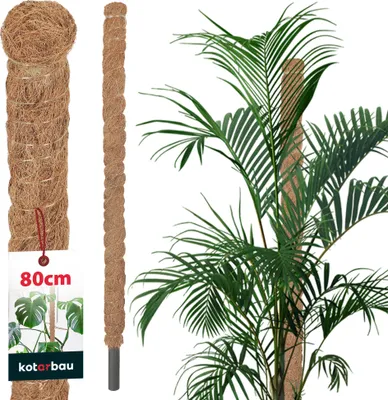 Zdjęcie produktu dla KOTARBAU® Tyczka z mchu do roslin Monstera Coconut Natural ? 2,5 x 80 cm Tyczka do roslin Monstera Tyczka kokosowa Tyczka do roslin Tyczka do roslin Tyczka do roslin Tyczka z mchu Tyczka do roslin Monstera Tyczka do kwiatów Tyczka z mchu