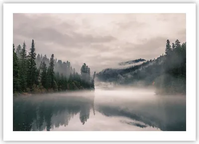 Produktbild von Poster - Poster ohne Rahmen - Reflexion Nebel Landschaft - 70x50 cm - Wand Bild - Wanddeko - Wandbilder - Kunstposter - Wandposter - Bilder - Kunstdruck - Wanddekoration - Wandbild - P2XAA70x50-4482