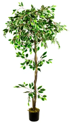 Produktbild von Decovego Künstlicher Ficus Benjamin, Kunstpflanze, 160 cm Kunstbaum