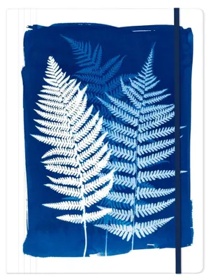 Produktbild von Cyanotype, Sammelmappe 24x32cm