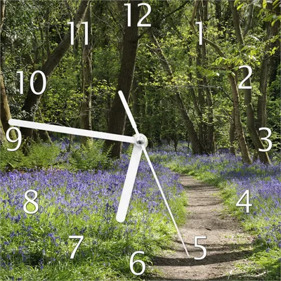 Produktbild von Wallario Design Wanduhr Wiese voller blauer Hasenglöckchen im Wald aus Echtglas, Größe 20 x 20 cm