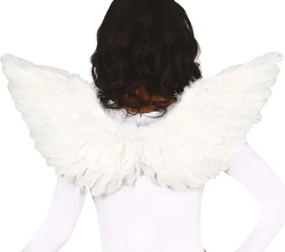 Produktbild von Feder Flügel weiß 62cm