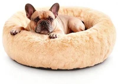 Immagine prodotto di Cuccia per cani rotonda, in morbido pelo sintetico, lavabile, antiscivolo, forma a ciambella, taglia M, diametro 60 cm, color beige