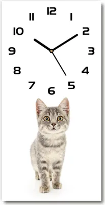 Produktbild von Wanduhr aus Glas – 30x60 cm - Glasbild - Glasuhr - Gehärtetes Glas -Graue Katze