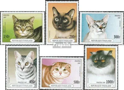 Produktbild von Briefmarken Togo 1997 Mi 2537-2542 (kompl.Ausg.) postfrisch Katzen