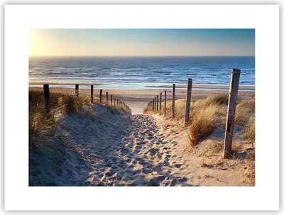 Produktbild von Poster - Poster ohne Rahmen - Meer Strand Düne - 40x30 cm - Wand Bild - Wanddeko - Wandbilder - Kunstposter - Wandposter - Bilder - Kunstdruck - Wanddekoration - Wandbild - P2XAA40x30-3612