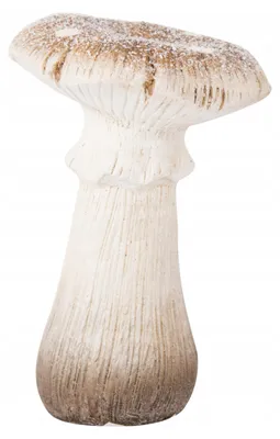 Produktbild von Dekofigur Pilz weiß-braun Kunstharz Höhe 14,5 cm