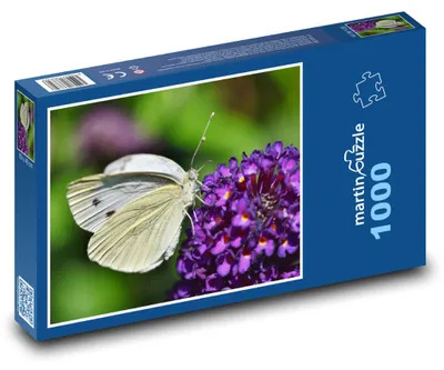 Obrázek produktu pro Puzzle 1000 Motýl na Květu - martinpuzzle