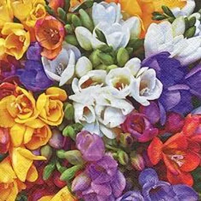 Produktbild von Servietten 33x33 cm - Variety of Freesias