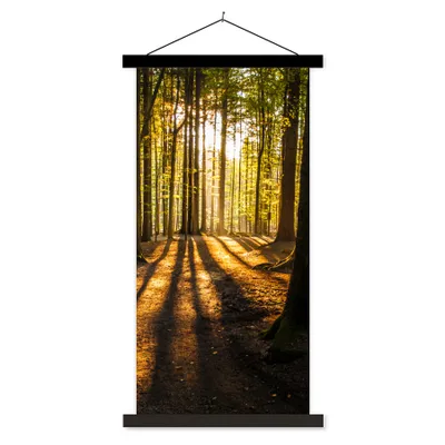 Produktbild von MuchoWow® Textilposter Sonne - Bäume - Wald - Landschaft - Natur 60x120 cm mit schwarzem Rahmen - Magnete
