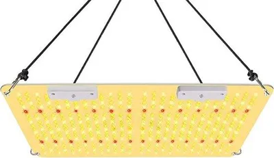 Image de Lampe LED de 2000 W pour la croissance des plantes