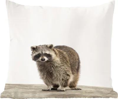 Produktbild von MuchoWow® Zierkissen Sofakissen Wohnzimmer Dekokissen 45x45 cm Waschbär - Tiere - weißer Hintergrund - Jungen - Mädchen - Kinder - Schlafpolster - Polster für das Sofa