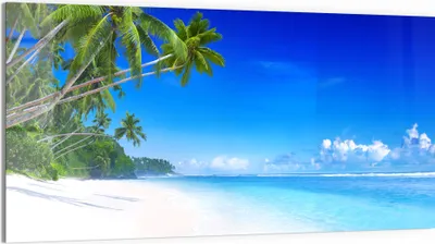 Produktbild von DEQORI Glasbild Echtglas 100x50 cm 'Palmen am Sandstrand' Wandbild Bild modern Deko