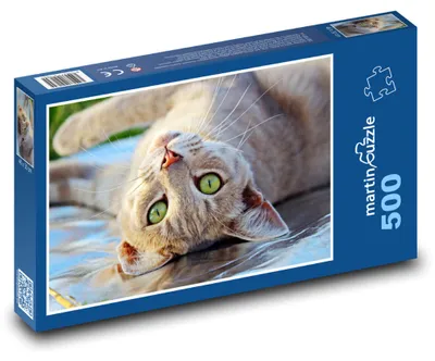 Produktbild von Puzzle 500 Getigerte Katze mit blauen Augen - martinpuzzle