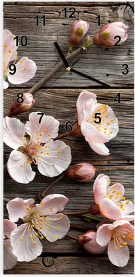 Produktbild von Wanduhr aus Glas mit Motiv Kirschblüten Holz- 30 x 60 cm - inkl. Aufhängesystem