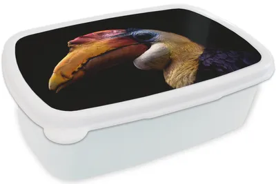 Obrázek produktu pro KitchenYeah® Lunch Box Box na oběd 17x11 cm Pták - Zobák - Černý Dětský box na oběd - Sendvičový box - Školní box - Boxy na oběd - Děti