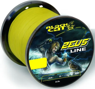 Produktbild von Black Cat Zeus Line Schnur - 3000m Wallerschnur, Durchmesser/Tragkraft:0.45mm / 37kg