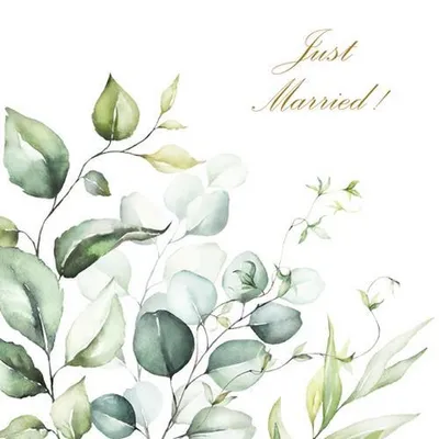 Immagine prodotto di Tovaglioli 33x33 cm - Romantic Marriage