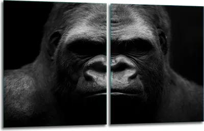 Obrázek produktu pro Krycí desky na sporák 2x40x52 Sklokeramická varná deska 2dílný skleněný splashback Gorilla