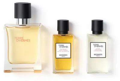 Produktbild von Hermès Terre D'hermes e T 50 Spray Gel40 Ash40