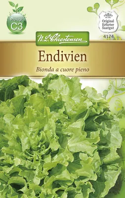 Produktbild von Endivie Bionda a cuore pieno | Endiviensalatsamen von N.L. Chrestensen