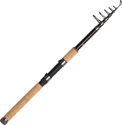 A fishing rod is shown against a white background.