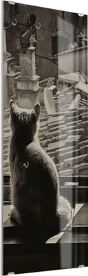 Produktbild von DEQORI Kleiderhaken aus Glas 50x125 cm 'Katzen auf Fensterbrett' Wand Garderobe Haken