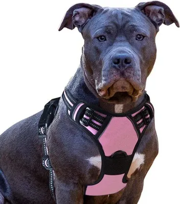 Produktbild von Famanu Hundegeschirr – Anti-Zieh-Geschirr – Verstellbar – Schwarz