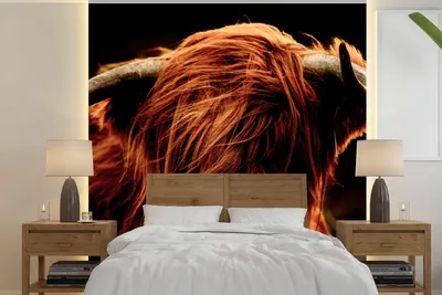 Produktbild von MuchoWow® Fototapete für Wohnzimmer oder Schlafzimmer Wandtapete Vinyl Motivtapete Schottischer Highlander - Kuh - Hörner - Porträt - Tiere - 240x240 cm - Schlafzimmer-Tapete