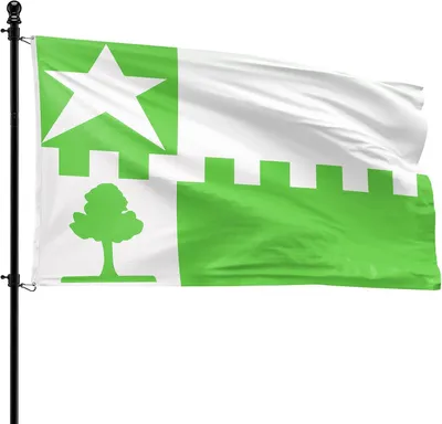Imagen del producto de Banderina del municipio de Stede Broec, 90 x 150 cm, de poliéster, para uso en exteriores